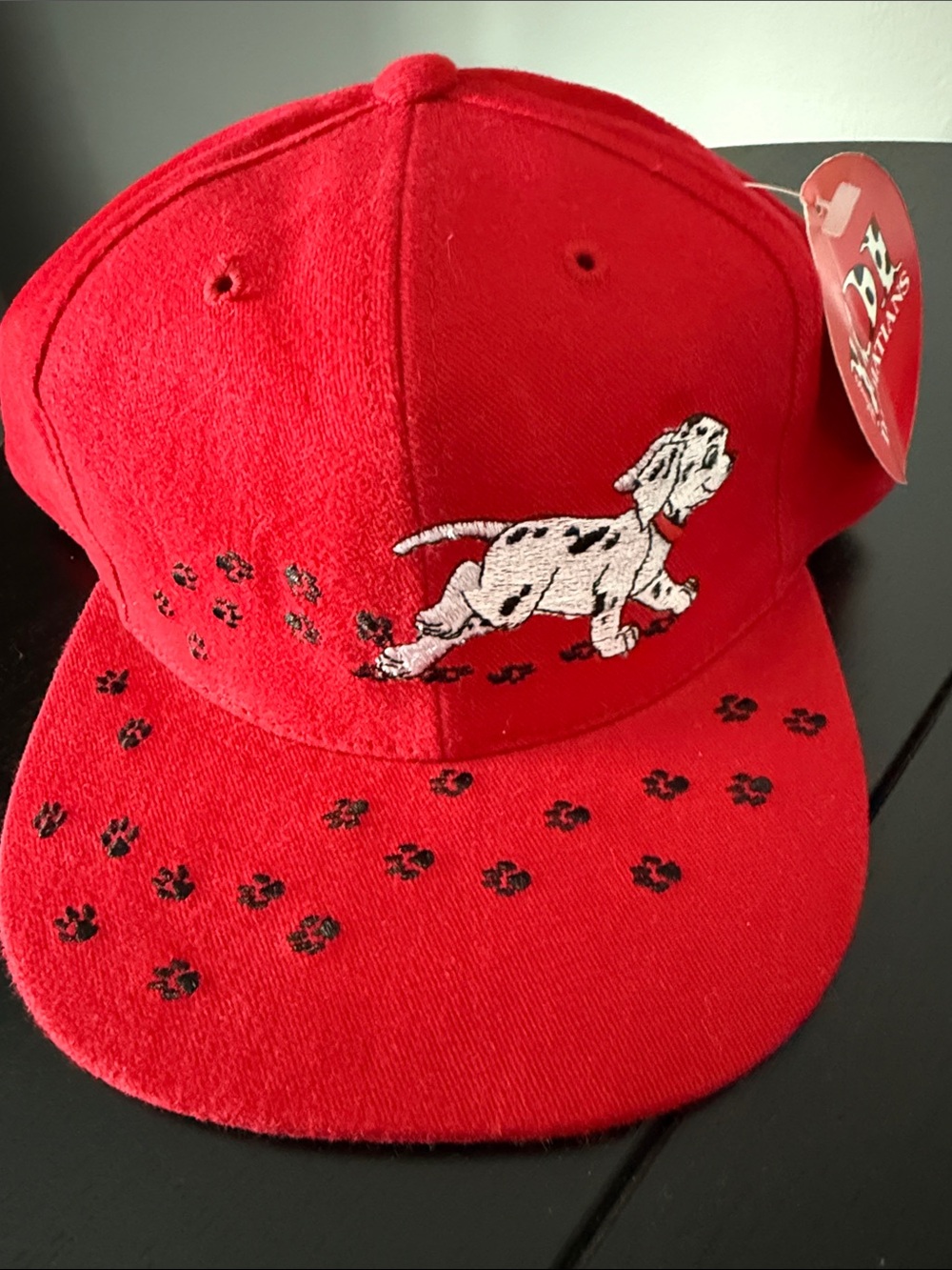 101 Dalmatians Snapback Hat